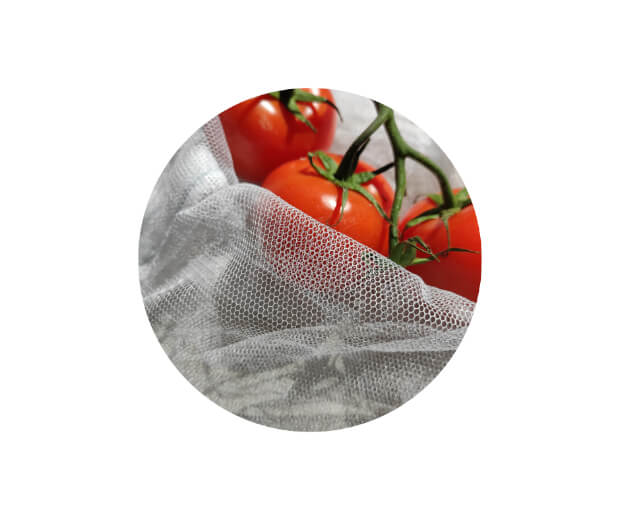 Pomidory w opakowaniu