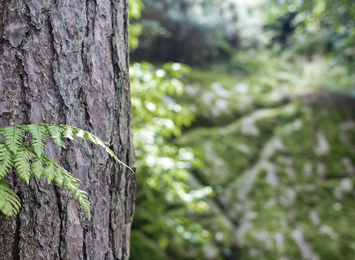 Wspieraj z nami - grafika
