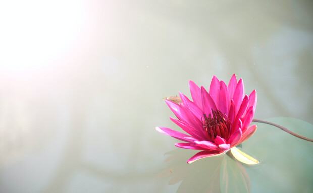 Naturalne wsparcie organizmu kobiety